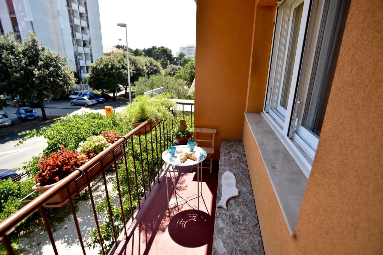 Mihaela Apartment زادار المظهر الخارجي الصورة